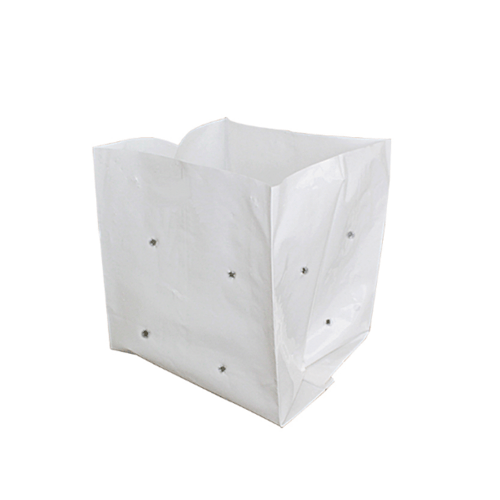 ถุงเพาะชำสีขาว 6x12