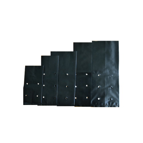 ถุงเพาะชำ 6x8