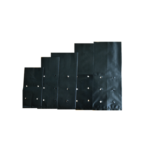 ถุงเพาะชำ 4x16