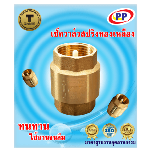 PP เช็ควาล์วสปริงทองเหลือง 3/4