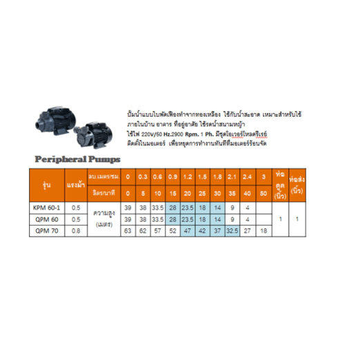 ម៉ាស៊ីនបូមទឹកបែបស្លាបកង្ហារGear POMPA 0.5 Hp