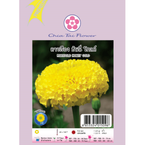เจียไต๋ ดาวเรือง ฮันนี่โกลด์ - สีม่วง