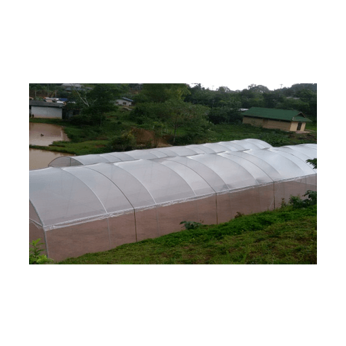 ENVI-GREEN ผ้าพลาสติกโรงเรือน 0.15มม. 4 x 100 M สีขาว