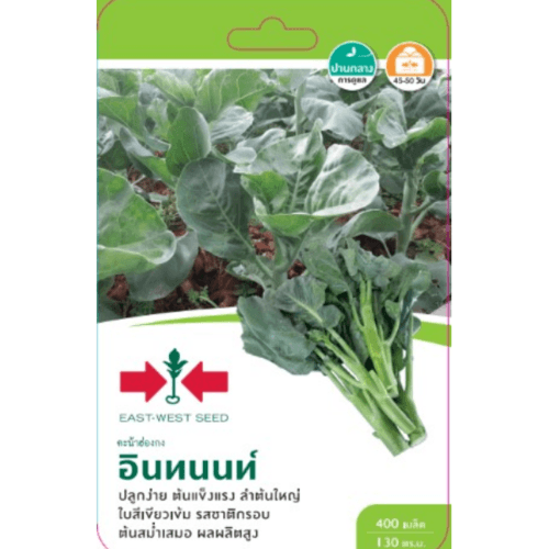 ศรแดง คะน้าฮ่องกงลูกผสม อินทนนท์ F1 - สีขาว