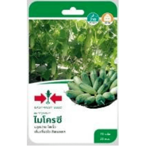 ศรแดง แตงกวาลูกผสม ไมโครซี F1 - สีขาว