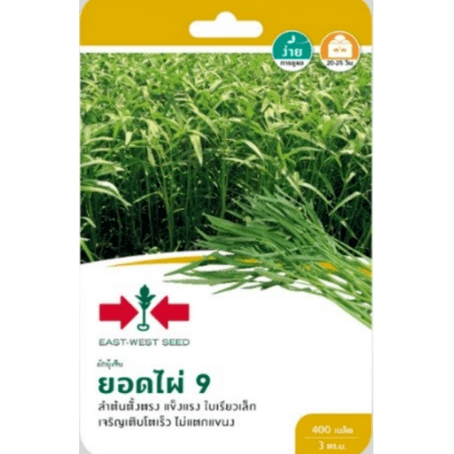 ศรแดง ผักบุ้ง ยอดไผ่ 9 - สีขาว