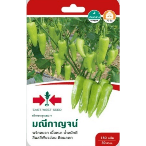 ศรแดง พริกหยวกลูกผสม มณีกาญจน์ F1 - สีขาว