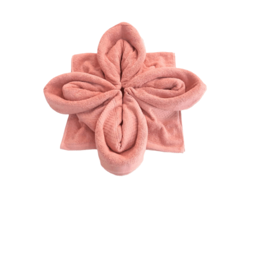 COZY ผ้าขนหนู รุ่น BQ007-COR ขนาด 70x140 ซม. สีโครอล