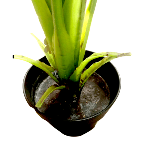 TreeO ต้นไม้เทียม 140ซม. รุ่น 19A005