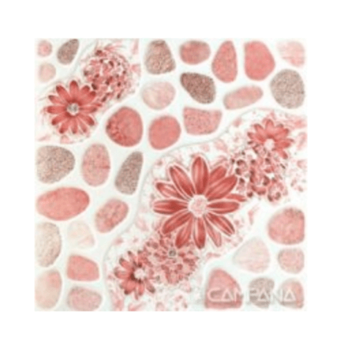 Casa กระเบื้องปูพื้น-12x12 สวนฮาวาย-ชมพู (11P) A. Floor Tile