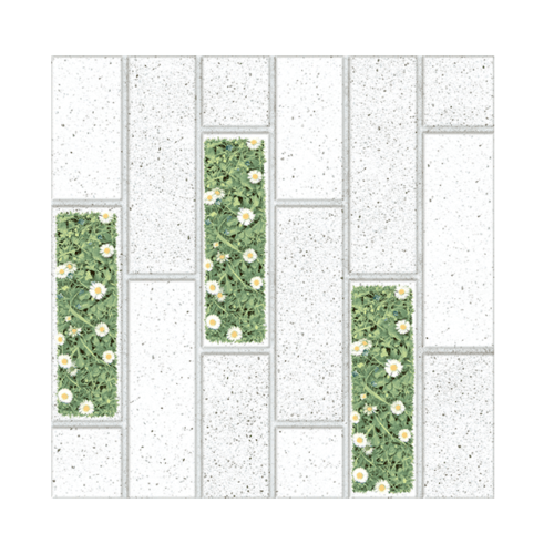 Bellecera 12x12 บริคโมเมนต์ ฟลอร่า (11P) A.