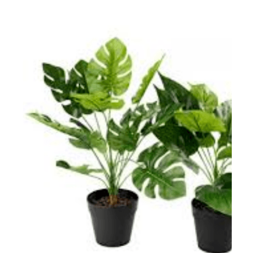 TreeO ต้นไม้เทียม 110ซม. รุ่น 19A006