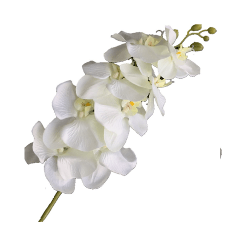 Tree O ดอกไม้ประดิษฐ์ตกแต่ง HB003 สีขาว