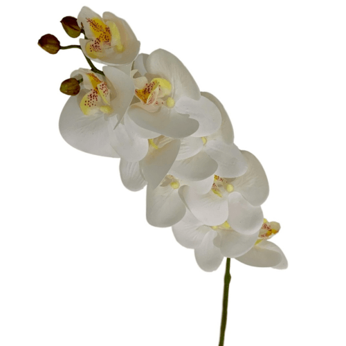 Tree O ดอกไม้ประดิษฐ์ตกแต่ง HB003 สีขาว