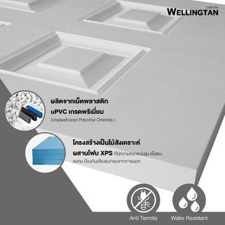 WELLINGTAN ประตูภายนอก UPVC บานทึบ 6ฟักตรง รุ่น UPVC-WE006 ขนาด 80x200ซม. สีขาว (ไม่เจาะลูกบิด)