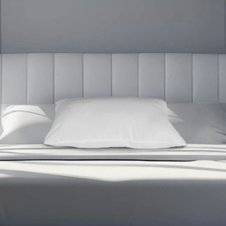 TRUFFLE หมอนหนุนสูญญากาศ รุ่น Firm ขนาด 19x29นิ้ว(เส้นใย1000กรัม) สีขาว