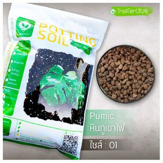 หินภูเขาไฟ ขนาด 4 ลิตร