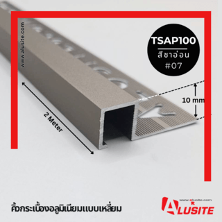 Alusite คิ้วอลูมิเนียมแบบเหลี่ยม 10 มม. ยาว 2 เมตร รุ่น TSAP100 (Matt) สีชาอ่อน