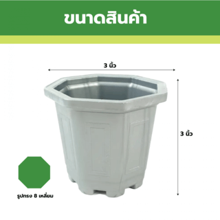 GREENHOUSE กระถาง แคคตัส 3 นิ้ว สีบรอนซ์