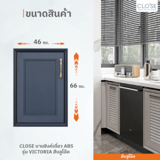 CLOSE บานซิงค์เดี่ยว ABS ขนาด 46x66 ซม. VIVIEN สีบลูโอ๊ค 