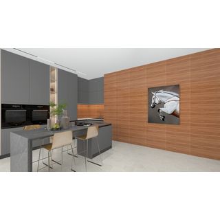 Marbella 30x60 กระเบื้องเซรามิกบุผนัง รุ่น ไม้งาม JM2501 (9P) Gloss