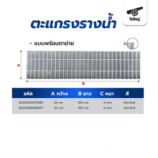 ปืนใหญ่ ตะแกรงรางน้ำชุบกัลวาไนซ์ พร้อมตาข่าย ขนาด 30x100x2.5ซม.หนา 3 มม.สีเงิน