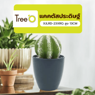 แคคตัสประดิษฐ์  XJLRD-23XRQ สูง 13CM
