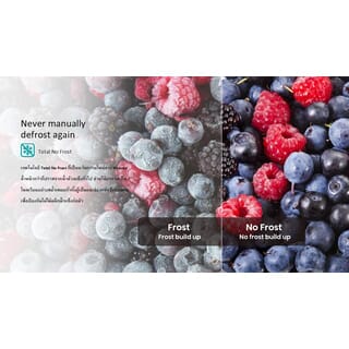 Hisense ตู้เย็น2ประตู 9.0 คิว รุ่น RT308N4TGN สีเทา