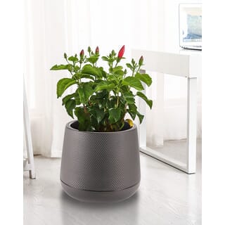 Tree O กระถางต้นไม้พลาสติกรุ่น 6KD2214-GR ขนาด M สีเทา