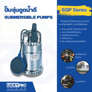 LUCKY PRO ปั๊มจุ่มสเตนเลสพร้อมลูกลอย 250W ท่อ 1 1/4