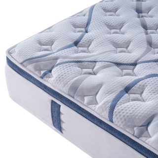 Truffle ที่นอนพ็อกเก็ตสปริงเสริมยางพารา รุ่น Petunia ขนาด 180x200x29 ซม. (6ฟุต) สีขาว-น้ำเงิน