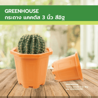 GREENHOUSE กระถาง แคคตัส 3 นิ้ว สีอิฐ