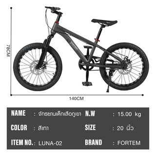 FORTEM จักรยานเด็กเสือภูเขา รุ่น Luna-02 ขนาด 20 นิ้ว  สีเทา