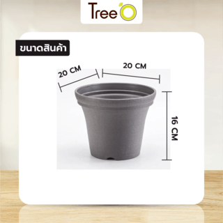 Tree  O กระถางต้นไม้ รุ่น 6PY018-GY ขนาด 20 x 20 x 16 ซม. (8นิ้ว) สีเทา