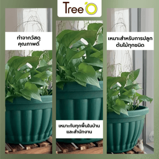 Tree O กระถางพลาสติก  รุ่น KD7016 ขนาด 12นิ้ว สีเขียว