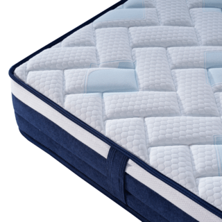 Truffle ที่นอนพ็อกเก็ตสปริง รุ่น Angelina ขนาด 180x200x21 ซม. (6ฟุต) สีขาว-น้ำเงิน