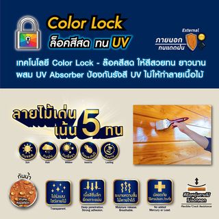 Woodtect วูดเทควูดเสตน WS-201 1 กล. สีสักกึ่งเงา