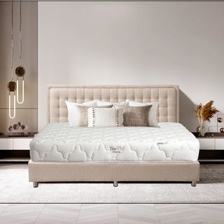 TRUFFLE  ที่นอนยางพาราอัด Non Spring  รุ่น Clinton หนา9นิ้ว ขนาด 6 ฟุต รับประกัน 8 ปี