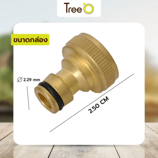 Tree’O Plus  ข้อต่อก๊อกสวมเร็ว ทองเหลือง รุ่น DY8017C สำหรับหัวก๊อกขนาด3/4 สีทอง