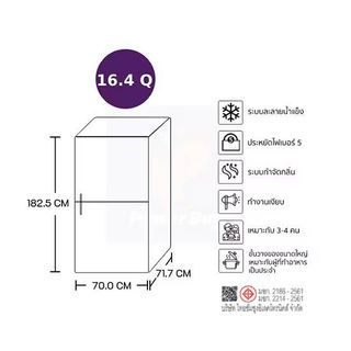SAMSUNG ตู้เย็น 2 ประตู ขนาด 16.4 คิว รุ่น RT47CG6644S9ST สีเทา