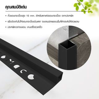 MAC คิ้วกระเบื้องPVC แบบเหลี่ยม ขนาด 10 มม. ยาว 2 เมตร รุ่นRZJ-DHL-10-B สีดำเคลือบเงา