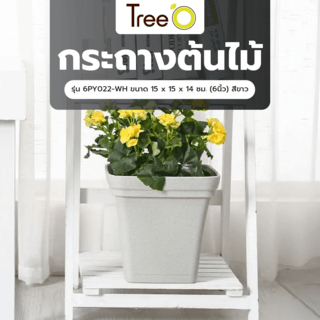 Tree’ O กระถางต้นไม้ รุ่น 6PY022-WH ขนาด 15 x 15 x 14 ซม. (6นิ้ว) สีขาว