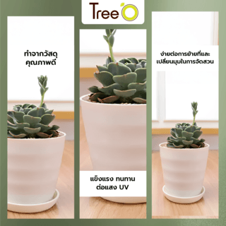 Tree‘O กระถางต้นไม้ทรงกลม  รุ่น6PY009-BE ขนาด15x16ซม. (6นิ้ว) สีน้ำตาลอ่อน