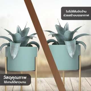 DELICATO ชั้นวางกระถางต้นไม้ รุ่น TY01GN  ขนาด 20x20x37.5ซม. สีเขียว