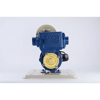 SAXON ปั๊มอัตโนมัติ 200W รุ่น SX-APS138A