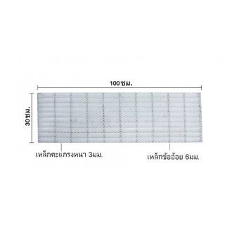 ปืนใหญ่ ตะแกรงรางน้ำชุบกัลวาไนซ์ พร้อมตาข่าย ขนาด 30x100x2.5ซม.หนา 3 มม.สีเงิน