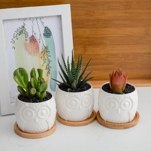 Tree’O กระถางเซรามิก นกฮูกพร้อมจานรอง รุ่น 4LY-003 สีขาว