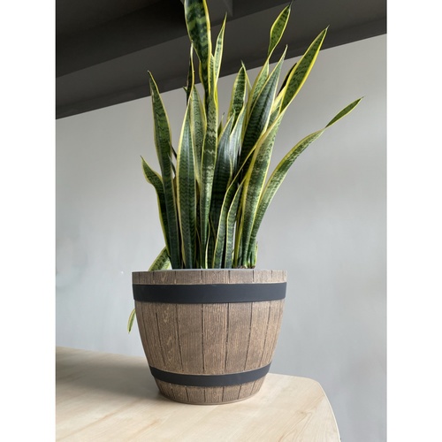 Tree’O กระถางต้นไม้ ขนาด 38x23x27ซม รุ่น JT001-15