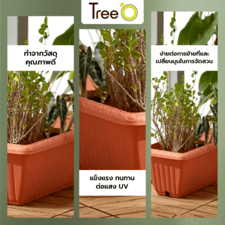 Tree‘O กระถางต้นไม้ทรงสี่เหลี่ยมผืนผ้า รุ่น6PY029-RD ขนาด20x37x15ซม.(10นิ้ว)สีแดง