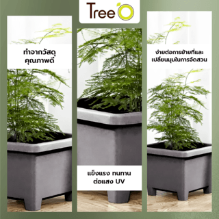 Tree  O กระถางต้นไม้ รุ่น 6PY008-GY ขนาด 27.6 x 27.6 x 19 ซม. (12นิ้ว) สีเทา